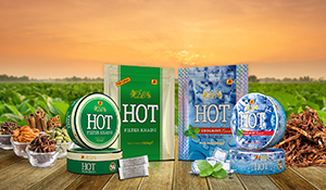 Traveling Solo Is Awesome